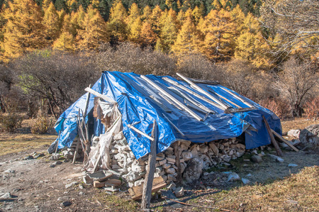 Colorful autumn in Yading national level reserve, Daocheng, Sichuan Province, China.の写真素材