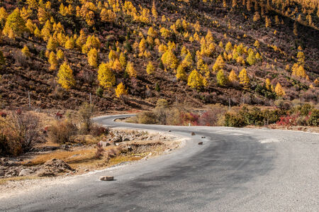 Autumn view of mountain road in Shangri-la,Daocheng,sichuan,China.の写真素材