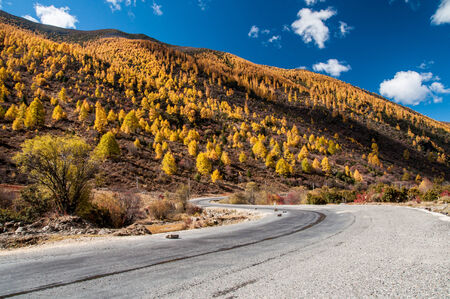 Autumn view of mountain road in Shangri-la,Daocheng,sichuan,China.の写真素材