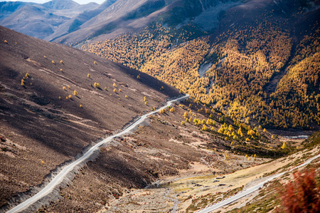 Autumn view of mountain road in Shangri-la,Daocheng,sichuan,China.の写真素材