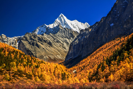 Landscape of autumn with mt. Chanadorje in Yading national level reserve, Daocheng, Sichuan Province, China.の写真素材