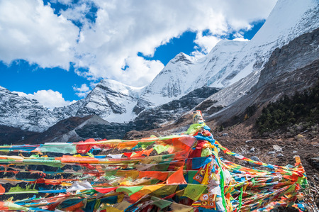 Colorful autumn with prayer flags  in Yading national level reserve, Daocheng, Sichuan Province, China.の写真素材
