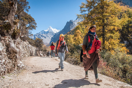 Daocheng, Sichuan , China - October 21,2008 : Chinese tourist visiting autumn forest in Yading national level reserve in Daocheng, Sichuan Province, China.のeditorial素材