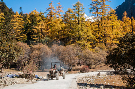 Daocheng, Sichuan , China - October 21,2008 : An unidentified tibetan  Chinese man with agriculture truck at  autumn forest in Yading national level reserve in Daocheng, Sichuan Province, China.のeditorial素材