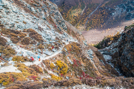 Daocheng, Sichuan , China - October 22,2008 : Chinese tourist visiting autumn forest in Yading national level reserve in Daocheng, Sichuan Province, China.のeditorial素材