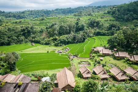 Bali, Indonesia, April 22,2010 : View of Saranam Eco Resort and restuarant and rice terrace flied in Bali,Indonesia.のeditorial素材