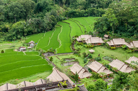 Bali, Indonesia, April 22,2010 : View of Saranam Eco Resort and restuarant and rice terrace flied in Bali,Indonesia.のeditorial素材