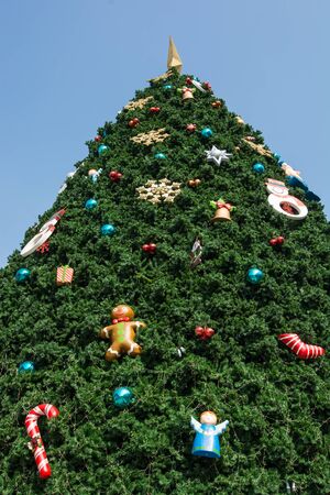 Decoration of Christmas Treeの写真素材