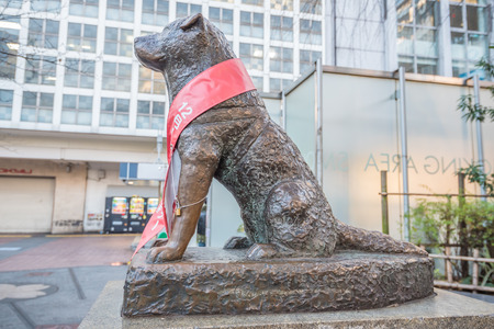 Tokyo, Japan - November 20, 2015: View of Bronze statue of Hachiko at Shibuya Station. A dog is remembered for his remarkable loyalty to his owner which continued for many years, Tokyo, Japan.のeditorial素材