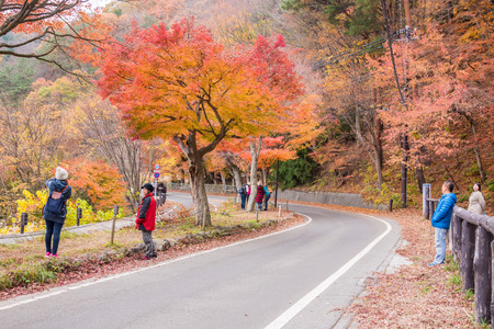 Fujikawaguchiko, Yamanashi, Japan - November 22, 2015 : Unidentified tourist visiting the Koyo  tunnel  at autumn in Kawaguchiko, Japan.のeditorial素材