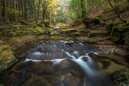 Beautiful in nature the Akame 48 waterfalls in autumn, Mie Prefecture , Japanの写真素材