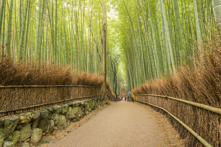 Kyoto, Japan - November 26, 2015: Blur motion of unidentified people visit bamboo forest in Arashiyama of Kyoto ,Japan. Arashiyama is a nationally-designated Historic Site and Place of Scenic Beauty.のeditorial素材
