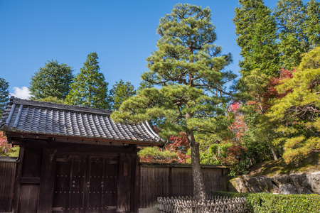 Kyoto, Japan - November 27, 2015 : The japan garden at  Eikando temple in autumn.Eikando temple is one of the most popular tourist at Kyoto in high season ( Momiji), Kyoto, Japan.のeditorial素材