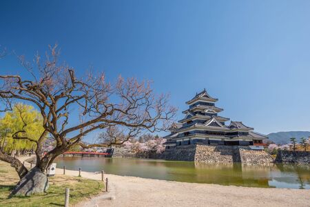 Matsumoto, Nagano, Japan - April 20, 2019 :  People visiting Cherry Blossom full bloom at Matsumoto castle, Nagano Prefecture, Japan.のeditorial素材