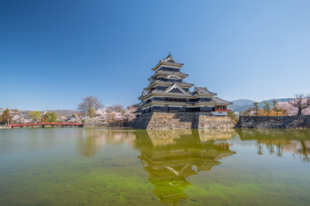 Matsumoto Castle During Cherry Blossom , Nagano Prefecture, Japanのeditorial素材