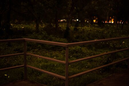 Metal fence and Blur background nature firefly flying in forest at dusk, Prachin Buri, Thailandの写真素材