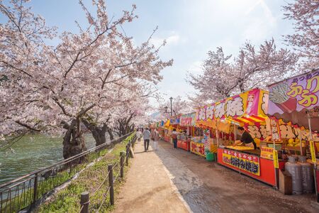 Nagano, Japan - April 19, 2019 : View of  full bloom Cherry blossom festival at Garyu park, Nagano Prefecture, Japan.のeditorial素材