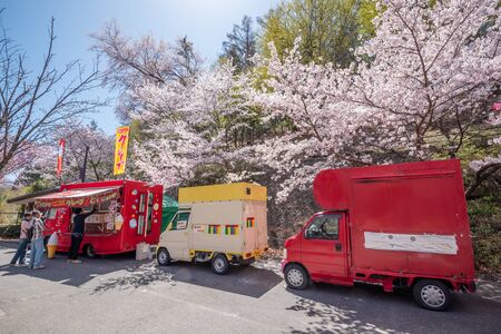 Nagano, Japan - April 20, 2019 : Unidentified people visit Kobo mountain  cherry blossom full bloom  in Matsumoto of Nagano Japan.のeditorial素材