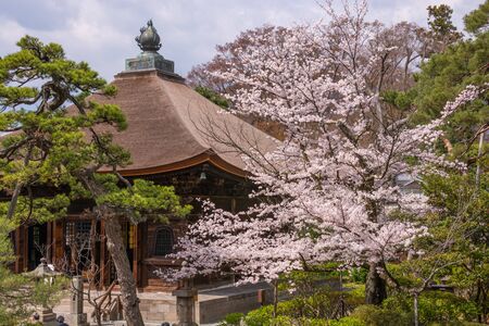 Nagano, Japan - April 19, 2019 : View of Zenkoji temple at Nagano City with cherry blossom full...
