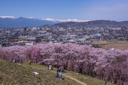 Nagano, Japan - April 20, 2019 : Unidentified people visit Kobo mountain on cherry blossom full bloom in Matsumoto of Nagano, Japan.のeditorial素材