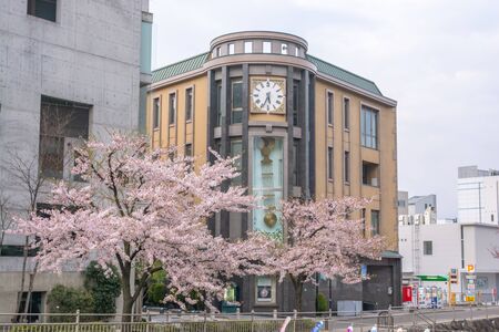 Matsumoto, Nagano, Japan - April 22, 2019 : View of Matsumoto town in morning with cherry blossom full bloom in Matsumoto, Japan.のeditorial素材