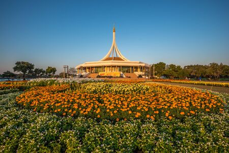 Bangkok, Thailand -  December 07, 2019 : Beautiful flowers in morning at Suanluang RAMA IX Public Park and botanical garden, the largest in Bangkok, Thailand.のeditorial素材