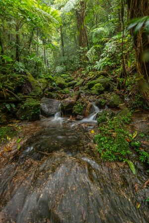 beautiful waterfall in green forest river stream in jungle of Thailand