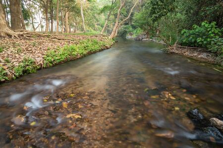 beautiful water stream in the forest morning scene , Thailandの写真素材