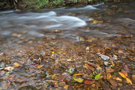 beautiful water stream in the forest morning scene , Thailand