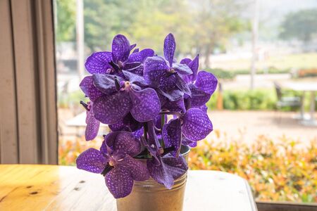 Closeup of purple color orchid in the steel vaseの写真素材