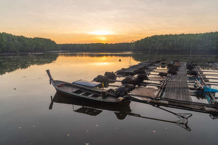 Trang, Thailand - March, 23, 2020 : Fish cage farm fresh water fish in the river at Trang province, Thailand.のeditorial素材
