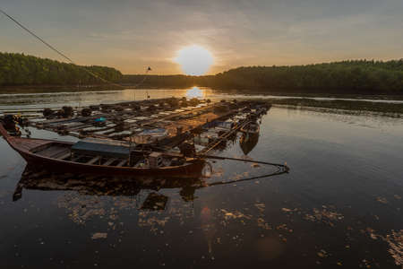 Trang, Thailand - March, 23, 2020 : Fish cage farm fresh water fish in the river at Trang province, Thailand.のeditorial素材