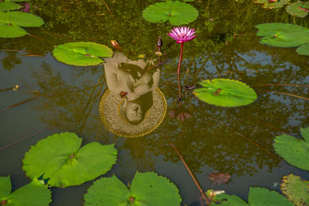 Buddha statue reflection in a lotus pond at Khao Na Nai Luang Dharma Park in Surat Thani province of Thailandの写真素材