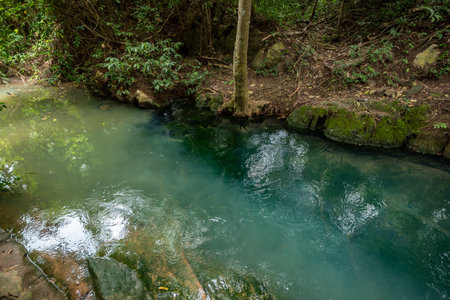 The view of tropical forest and the clear water stream in Thailandの写真素材