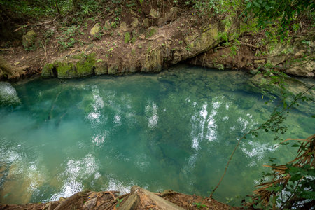 The view of tropical forest and the clear water stream in Thailandの写真素材