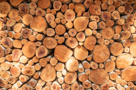 pile stacked natural sawn wooden logs background, top viewの写真素材