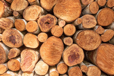 pile stacked natural sawn wooden logs background, top view