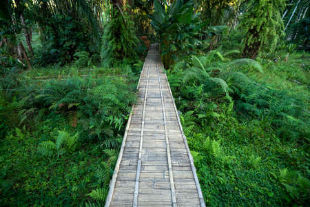 Wooden bridge walkway Bamboo bridge spanning to the garden in Thailandの写真素材