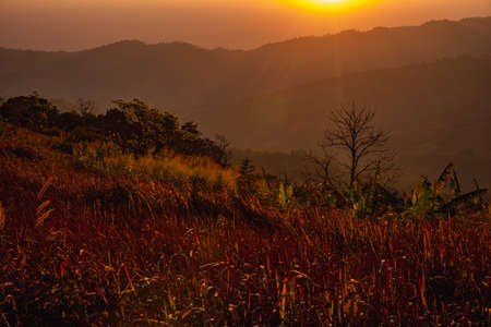 beautiful landscape with mountain and trees on sunrise ,northern in Thailandの写真素材