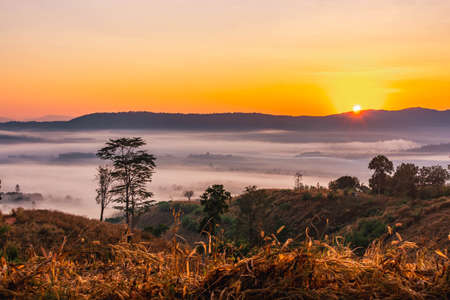 Landscape of the mountains and field with fog on sunrise in Thailandの写真素材