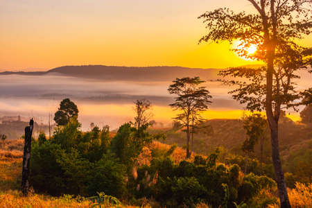 Landscape of the mountains and field with fog on sunrise in Thailandの写真素材