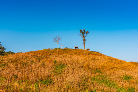 Brown autumn landscape mountain with trees against clear blue sky in backgroundの写真素材
