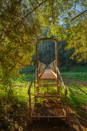 Old metal bridge in a green forest of Thailandの写真素材
