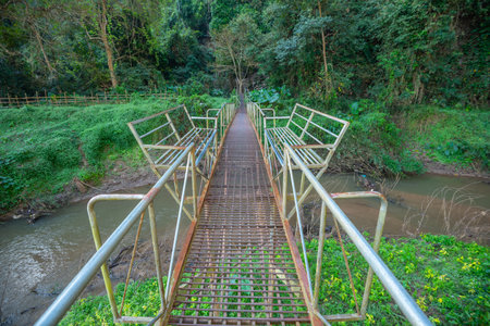 Old metal bridge in a green forest of Thailandの写真素材