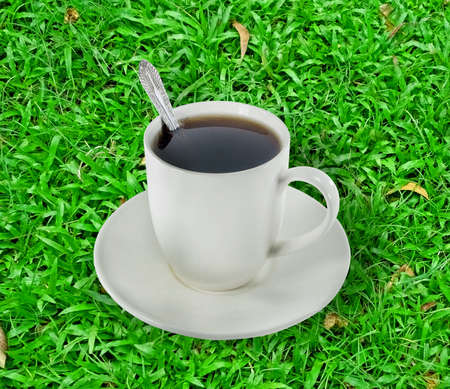 cup with a teaの写真素材