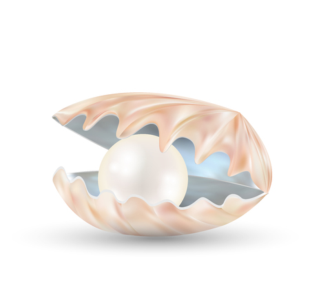 bright pearl in a opened sea shellのイラスト素材