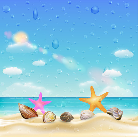 sea shell and starfish  on a sand beach  with water drop on screenのイラスト素材