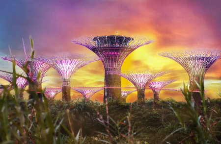 SINGAPORE - 14 October 2018 : View of amazing illumination at Garden by the Bay in Singapore.のeditorial素材