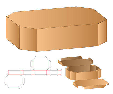 Box packaging die cut template design. 3d mock-upのイラスト素材