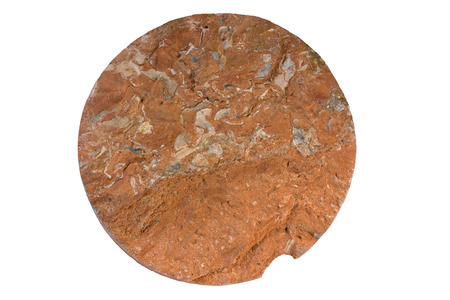 Oil shale drill core from Estonia (kukersite). Width of sample 9 cm.の写真素材